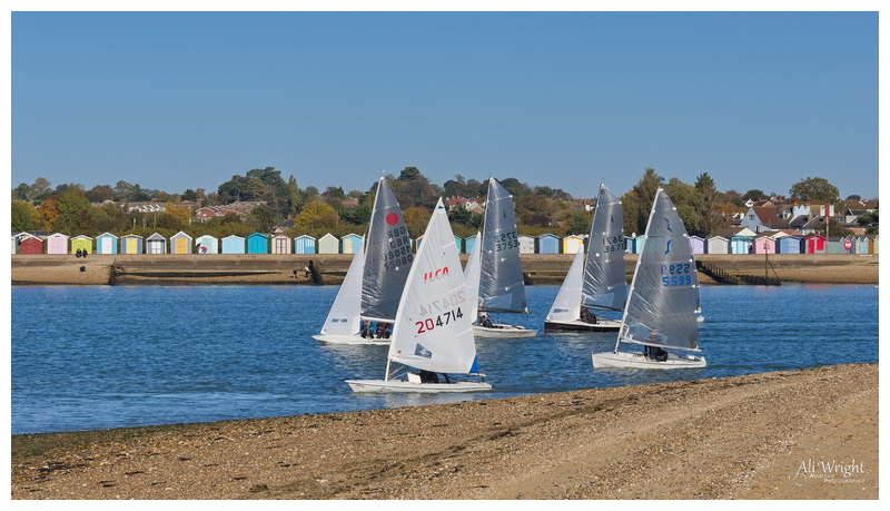 Racing Yachts on the River Colne