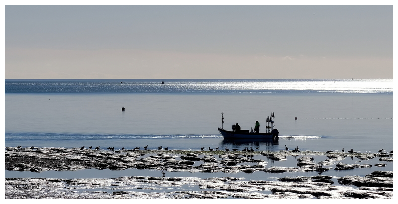 Boat in Silhouette
