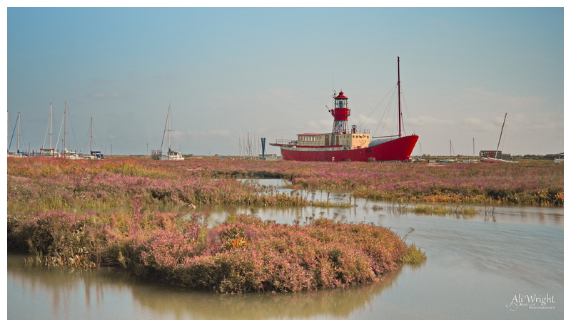 Late Summer Colour on the Marshes