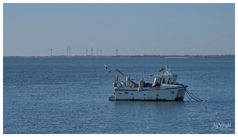 Boat at Anchor
