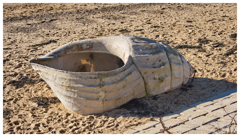 Concrete Shell Sculpture