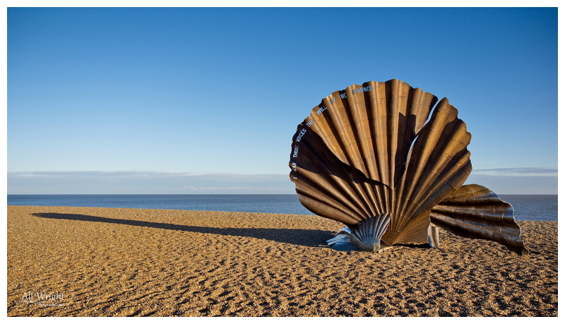 Memorial Scallop