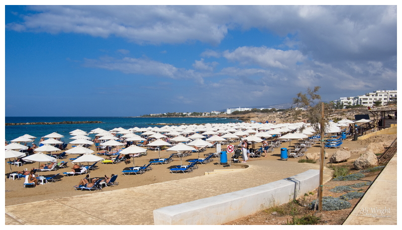 Venus Beach
