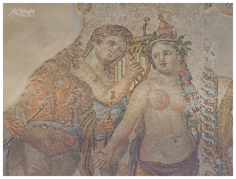 Roman Mosaic