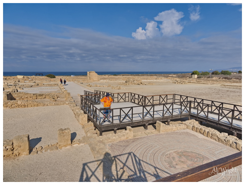 Roman Consul's Villa & Mosaic
