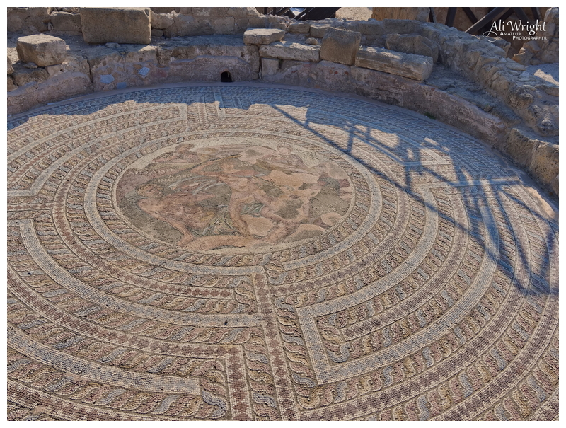 Roman Mosaic