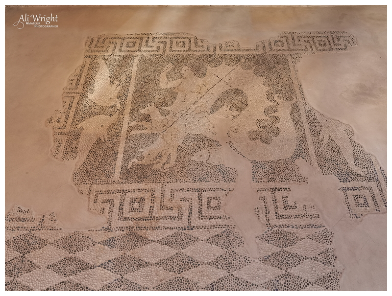 Roman Pebble Mosaic