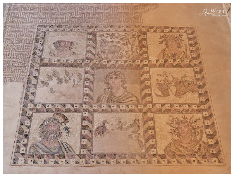 Roman Mosaic