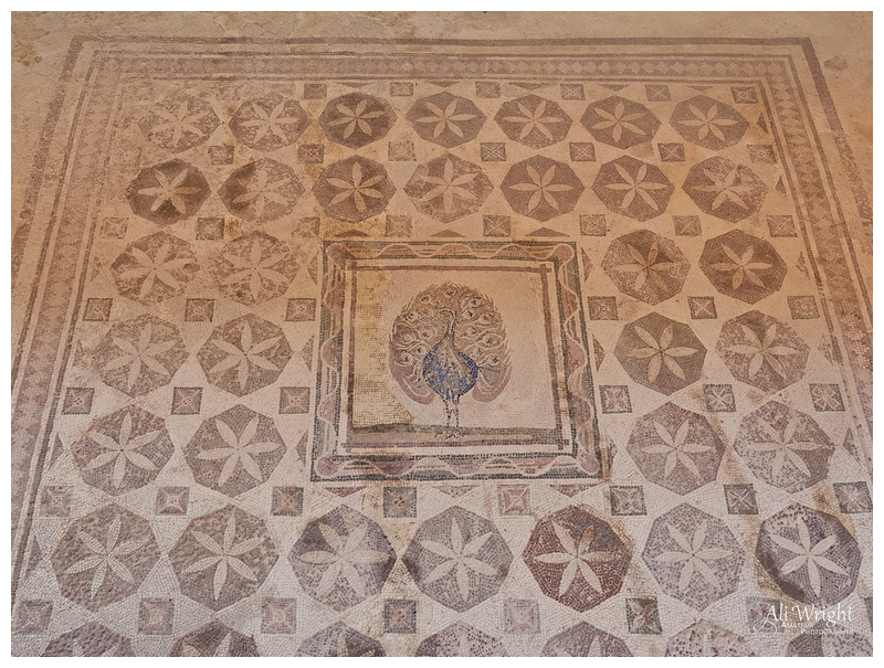 Roman Mosaic