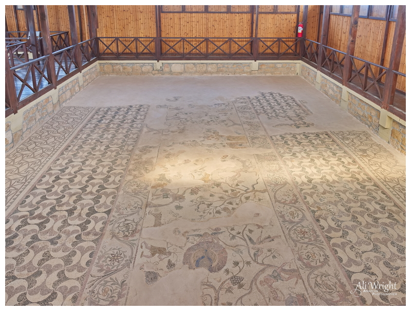 Roman Mosaic