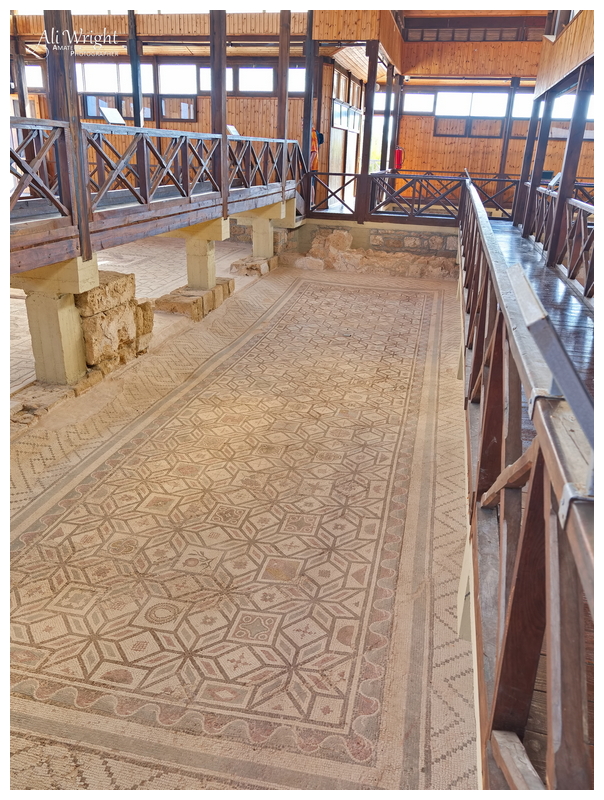 Roman Mosaic