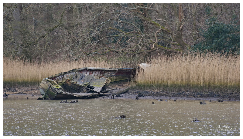 Abandoned Boat