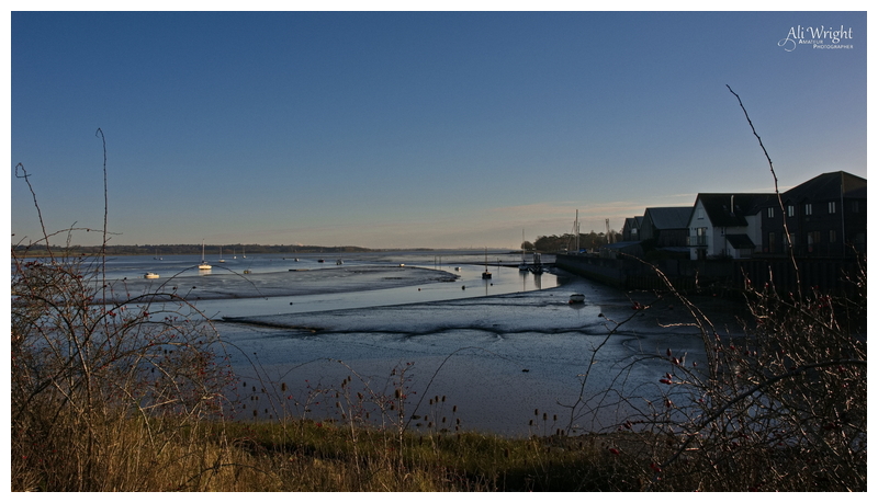 Early Morning Mudflats