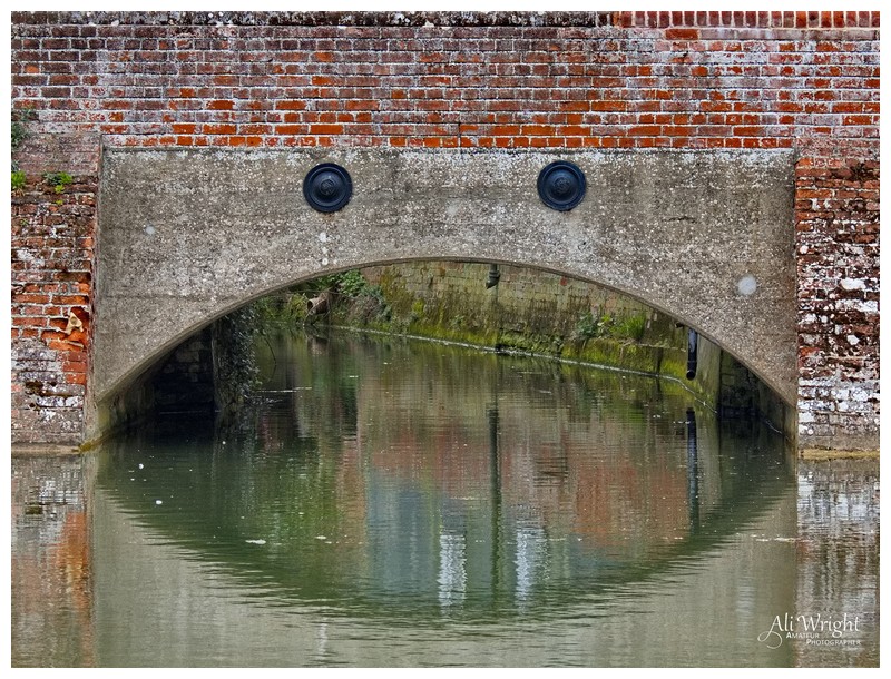 Pareidolia: Bridge or Face?