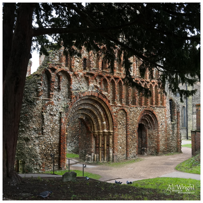Priory Frontage
