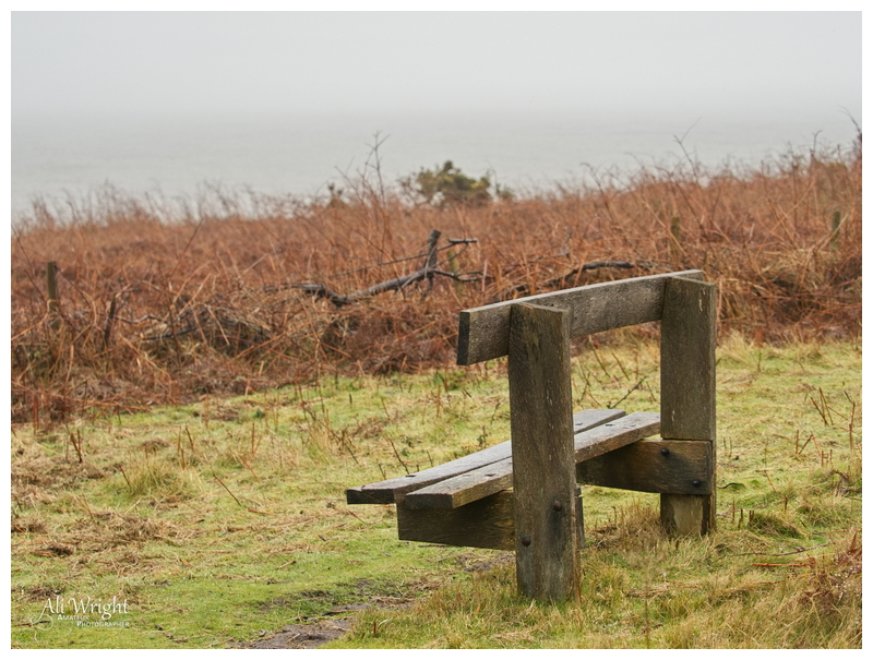 Unloved Seat on a Wet Day
