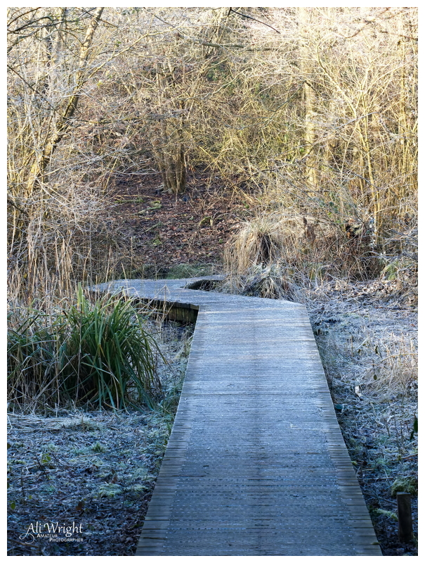 Frosty Path