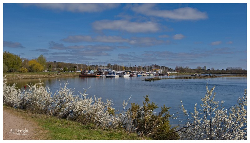 April Blossom & Boats