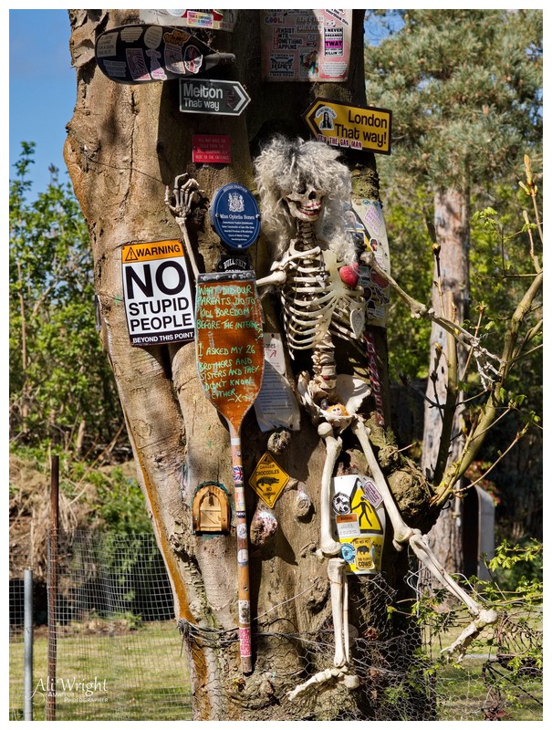 Eclectic Signposting