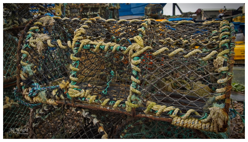 Lobster Pot in Detail