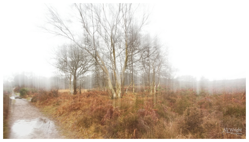 Rainy Day on the Heath ICM