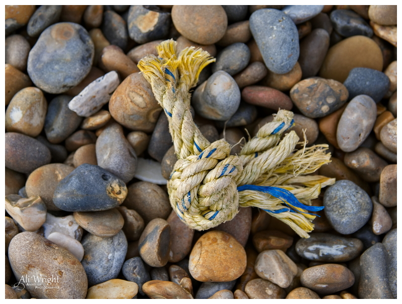 Discarded Rope