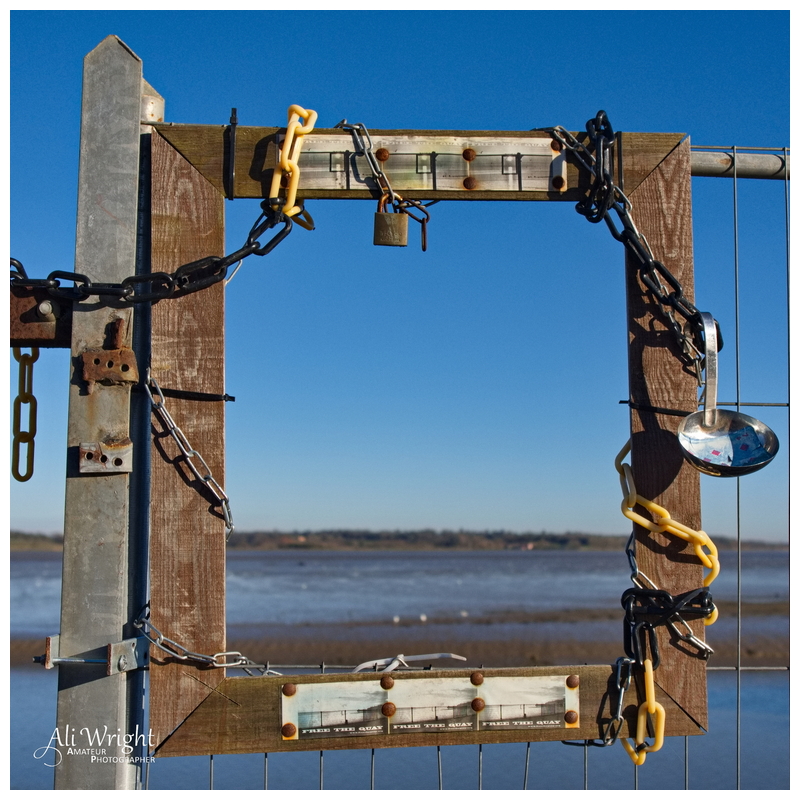 Framing the View in Protest