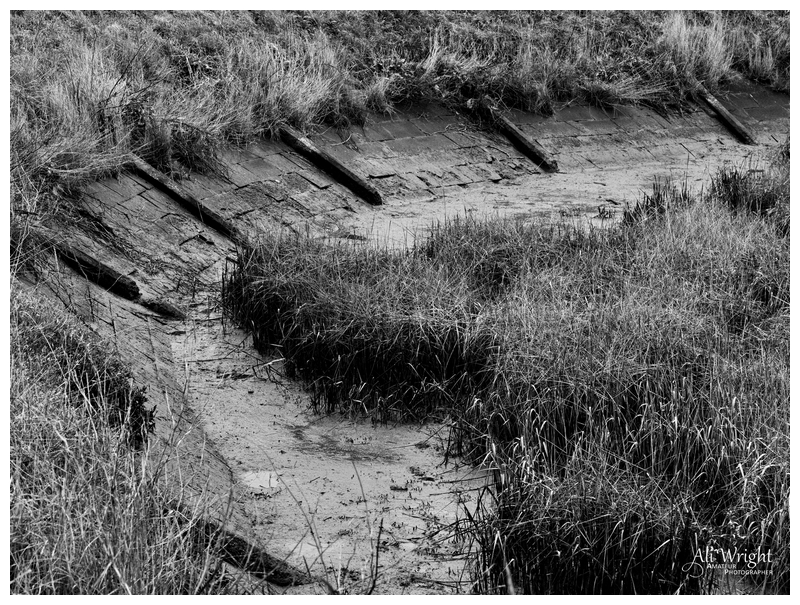 Sea Wall Detail