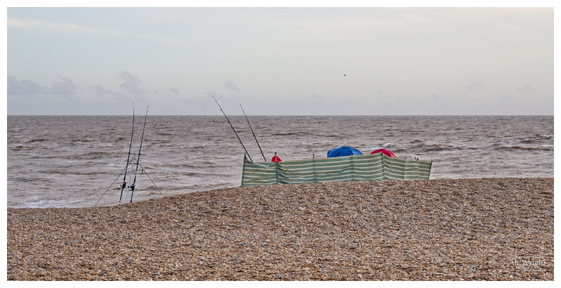 Windbreak on a Blustery Day
