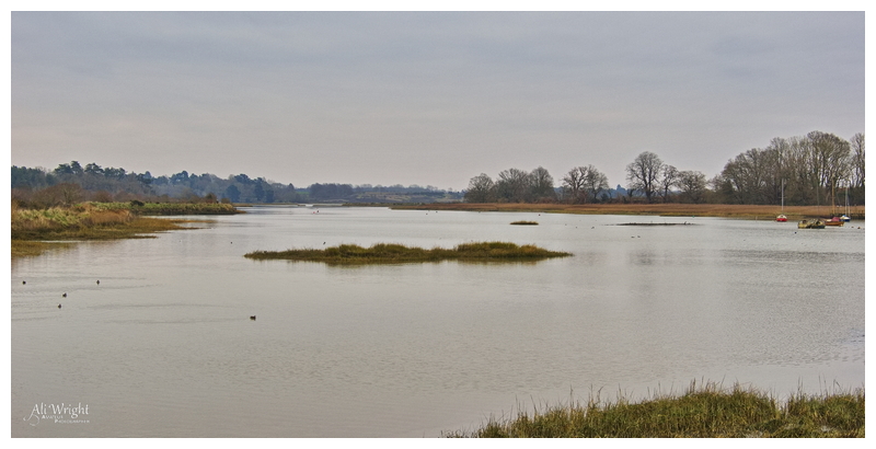 Martlesham Creek in Late Winter
