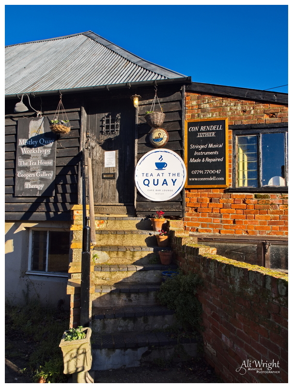 Tea Shop in the Morning Light