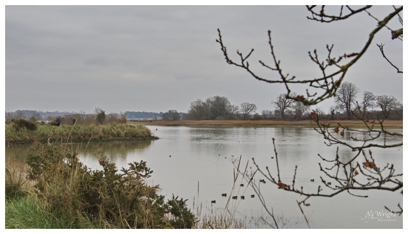 Martlesham Creek in Late Winter