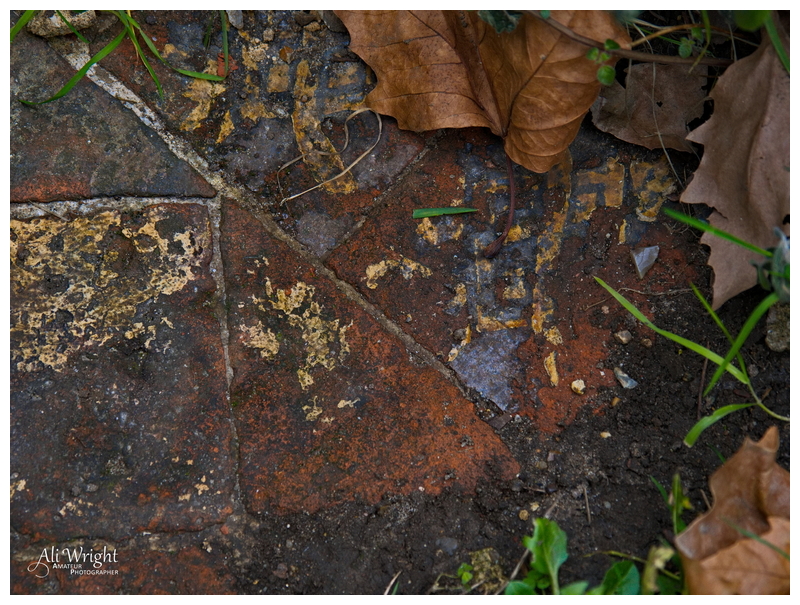 Priory Floor Tiles
