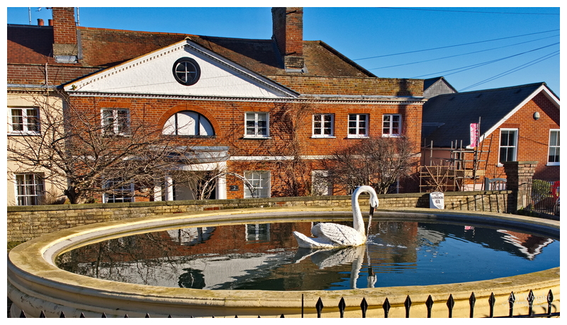 The Mistley Swan