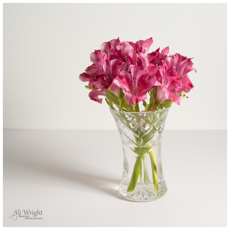 Vase of Flowers
