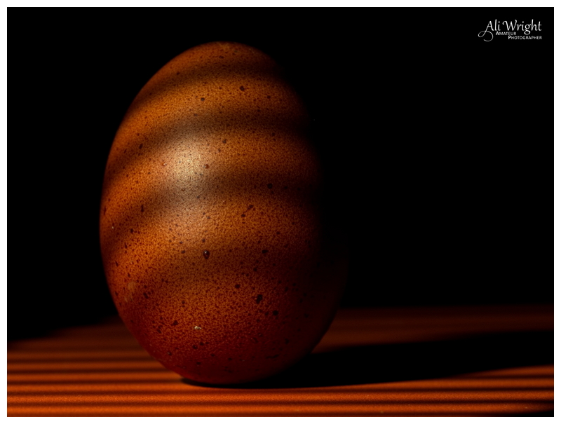 Egg
